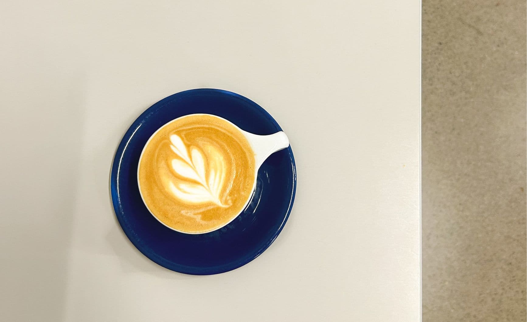 10 meilleurs cafés pour étudier à Montréal en 2024
